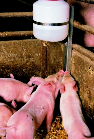 BEBEDOURO COM DEPÓSITO SELVAN DE 5 LITROS 1